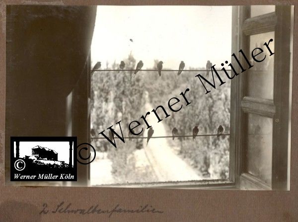 Foto Wilhelm Rieck , Afghanistan, Darulaman, Darul-Aman, Berlin, 1922, Amanullah, Rieck, Kabul, Tape-Taj-Beg, Maass, Harten, Standke, Plessen, Kandahar, Horten, harten, Bau, Palast, Bazar, Timur Schah, Partschin, Parschin, Teheran, Persien, Iran, aden, Vesuv, Neapel, Bombay, Maass, Bagman, Grobba, Gerber, Burg, wandgemälde, Königszimmer, Elefantenrennen, Bünte, Fensterblick, Winter, Reiterverein, Grantham, Suraija, Turmzimmer, Suez, Lyzeum, Schlüterstr, Berlin, Sancoussi, Potsdam, Schlossdächer, Schlossdach, Schachpartner, Kupfterdächer, Kupfterdach, Königlich Afghanischen Gesandtschaft, Berlin-Moabit, Alim Khan, Emir von Buchara, Lalander, Thaj Mahal, Agra, Parron, Baron Plessen, Mehl-Bazar, Mehlhändler, Obsthändler, Zuckerbäcker, Silberschmiede, Habibullah, Bank Ottoman, Pulverfabrik, Uran-Wiederaufbereitungsanlagen, F13, Gallipoli, Spinnmaschinen 