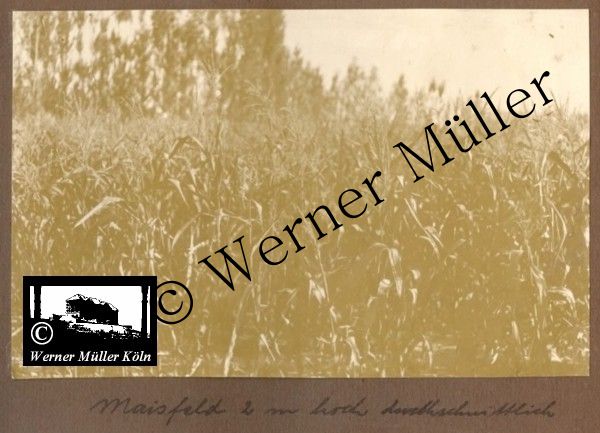 Foto Wilhelm Rieck , Afghanistan, Darulaman, Darul-Aman, Berlin, 1922, Amanullah, Rieck, Kabul, Tape-Taj-Beg, Maass, Harten, Standke, Plessen, Kandahar, Horten, harten, Bau, Palast, Bazar, Timur Schah, Partschin, Parschin, Teheran, Persien, Iran, aden, Vesuv, Neapel, Bombay, Maass, Bagman, Grobba, Gerber, Burg, wandgemälde, Königszimmer, Elefantenrennen, Bünte, Fensterblick, Winter, Reiterverein, Grantham, Suraija, Turmzimmer, Suez, Lyzeum, Schlüterstr, Berlin, Sancoussi, Potsdam, Schlossdächer, Schlossdach, Schachpartner, Kupfterdächer, Kupfterdach, Königlich Afghanischen Gesandtschaft, Berlin-Moabit, Alim Khan, Emir von Buchara, Lalander, Thaj Mahal, Agra, Parron, Baron Plessen, Mehl-Bazar, Mehlhändler, Obsthändler, Zuckerbäcker, Silberschmiede, Habibullah, Bank Ottoman, Pulverfabrik, Uran-Wiederaufbereitungsanlagen, F13, Gallipoli, Spinnmaschinen 