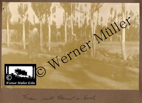 Foto Wilhelm Rieck , Afghanistan, Darulaman, Darul-Aman, Berlin, 1922, Amanullah, Rieck, Kabul, Tape-Taj-Beg, Maass, Harten, Standke, Plessen, Kandahar, Horten, harten, Bau, Palast, Bazar, Timur Schah, Partschin, Parschin, Teheran, Persien, Iran, aden, Vesuv, Neapel, Bombay, Maass, Bagman, Grobba, Gerber, Burg, wandgemälde, Königszimmer, Elefantenrennen, Bünte, Fensterblick, Winter, Reiterverein, Grantham, Suraija, Turmzimmer, Suez, Lyzeum, Schlüterstr, Berlin, Sancoussi, Potsdam, Schlossdächer, Schlossdach, Schachpartner, Kupfterdächer, Kupfterdach, Königlich Afghanischen Gesandtschaft, Berlin-Moabit, Alim Khan, Emir von Buchara, Lalander, Thaj Mahal, Agra, Parron, Baron Plessen, Mehl-Bazar, Mehlhändler, Obsthändler, Zuckerbäcker, Silberschmiede, Habibullah, Bank Ottoman, Pulverfabrik, Uran-Wiederaufbereitungsanlagen, F13, Gallipoli, Spinnmaschinen 