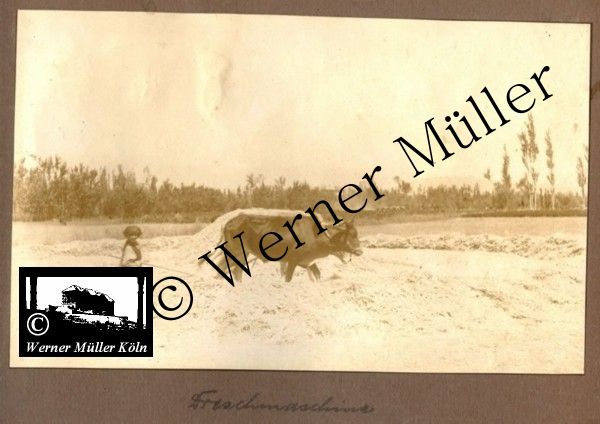 Dreschmaschinen, Foto Wilhelm Rieck , Afghanistan, Darulaman, Darul-Aman, Berlin, 1922, Amanullah, Rieck, Kabul, Tape-Taj-Beg, Maass, Harten, Standke, Plessen, Kandahar, Horten, harten, Bau, Palast, Bazar, Timur Schah, Partschin, Parschin, Teheran, Persien, Iran, aden, Vesuv, Neapel, Bombay, Maass, Bagman, Grobba, Gerber, Burg, wandgemälde, Königszimmer, Elefantenrennen, Bünte, Fensterblick, Winter, Reiterverein, Grantham, Suraija, Turmzimmer, Suez, Lyzeum, Schlüterstr, Berlin, Sancoussi, Potsdam, Schlossdächer, Schlossdach, Schachpartner, Kupfterdächer, Kupfterdach, Königlich Afghanischen Gesandtschaft, Berlin-Moabit, Alim Khan, Emir von Buchara, Lalander, Thaj Mahal, Agra, Parron, Baron Plessen, Mehl-Bazar, Mehlhändler, Obsthändler, Zuckerbäcker, Silberschmiede, Habibullah, Bank Ottoman, Pulverfabrik, Uran-Wiederaufbereitungsanlagen, F13, Gallipoli, 
