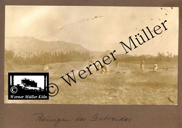 Getreide, Foto Wilhelm Rieck , Afghanistan, Darulaman, Darul-Aman, Berlin, 1922, Amanullah, Rieck, Kabul, Tape-Taj-Beg, Maass, Harten, Standke, Plessen, Kandahar, Horten, harten, Bau, Palast, Bazar, Timur Schah, Partschin, Parschin, Teheran, Persien, Iran, aden, Vesuv, Neapel, Bombay, Maass, Bagman, Grobba, Gerber, Burg, wandgemälde, Königszimmer, Elefantenrennen, Bünte, Fensterblick, Winter, Reiterverein, Grantham, Suraija, Turmzimmer, Suez, Lyzeum, Schlüterstr, Berlin, Sancoussi, Potsdam, Schlossdächer, Schlossdach, Schachpartner, Kupfterdächer, Kupfterdach, Königlich Afghanischen Gesandtschaft, Berlin-Moabit, Alim Khan, Emir von Buchara, Lalander, Thaj Mahal, Agra, Parron, Baron Plessen, Mehl-Bazar, Mehlhändler, Obsthändler, Zuckerbäcker, Silberschmiede, Habibullah, Bank Ottoman, Pulverfabrik, Uran-Wiederaufbereitungsanlagen, F13, Gallipoli, 