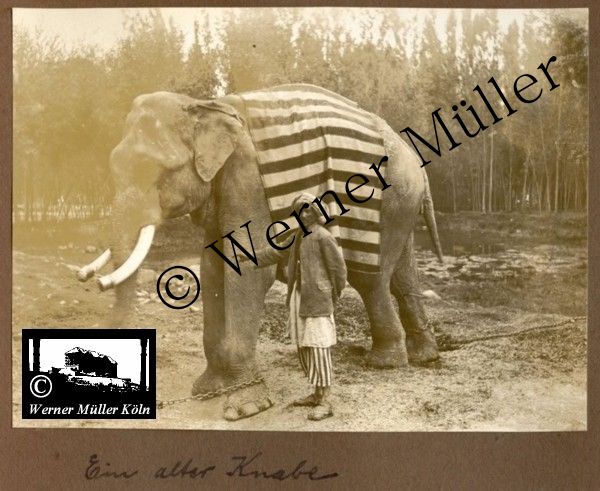 Foto Wilhelm Rieck , Afghanistan, Darulaman, Darul-Aman, Berlin, 1922, Amanullah, Rieck, Kabul, Tape-Taj-Beg, Maass, Harten, Standke, Plessen, Kandahar, Horten, harten, Bau, Palast, Bazar, Timur Schah, Partschin, Parschin, Teheran, Persien, Iran, aden, Vesuv, Neapel, Bombay, Maass, Bagman, Grobba, Gerber, Burg, wandgemälde, Königszimmer, Elefantenrennen, Bünte, Fensterblick, Winter, Reiterverein, Grantham, Suraija, Turmzimmer, Suez, Lyzeum, Schlüterstr, Berlin, Sancoussi, Potsdam, Schlossdächer, Schlossdach, Schachpartner, Kupfterdächer, Kupfterdach, Königlich Afghanischen Gesandtschaft, Berlin-Moabit, Alim Khan, Emir von Buchara, Lalander, Thaj Mahal, Agra, Parron, Baron Plessen, Mehl-Bazar, Mehlhändler, Obsthändler, Zuckerbäcker, Silberschmiede, Habibullah, Bank Ottoman, Pulverfabrik, Uran-Wiederaufbereitungsanlagen, F13, Gallipoli, 
