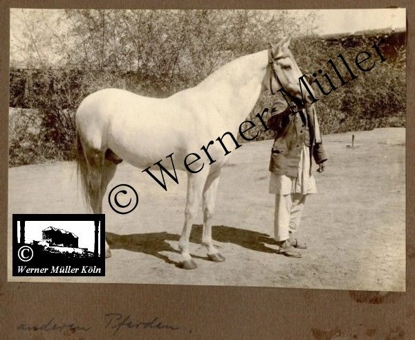Foto Wilhelm Rieck , Afghanistan, Darulaman, Darul-Aman, Berlin, 1922, Amanullah, Rieck, Kabul, Tape-Taj-Beg, Maass, Harten, Standke, Plessen, Kandahar, Horten, harten, Bau, Palast, Bazar, Timur Schah, Partschin, Parschin, Teheran, Persien, Iran, aden, Vesuv, Neapel, Bombay, Maass, Bagman, Grobba, Gerber, Burg, wandgemälde, Königszimmer, Elefantenrennen, Bünte, Fensterblick, Winter, Reiterverein, Grantham, Suraija, Turmzimmer, Suez, Lyzeum, Schlüterstr, Berlin, Sancoussi, Potsdam, Schlossdächer, Schlossdach, Schachpartner, Kupfterdächer, Kupfterdach, Königlich Afghanischen Gesandtschaft, Berlin-Moabit, Alim Khan, Emir von Buchara, Lalander, Thaj Mahal, Agra, Parron, Baron Plessen, Mehl-Bazar, Mehlhändler, Obsthändler, Zuckerbäcker, Silberschmiede, Habibullah, Bank Ottoman, Pulverfabrik, Uran-Wiederaufbereitungsanlagen, F13, Gallipoli, 