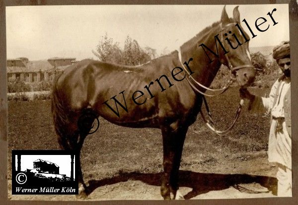 Foto Wilhelm Rieck , Afghanistan, Darulaman, Darul-Aman, Berlin, 1922, Amanullah, Rieck, Kabul, Tape-Taj-Beg, Maass, Harten, Standke, Plessen, Kandahar, Horten, harten, Bau, Palast, Bazar, Timur Schah, Partschin, Parschin, Teheran, Persien, Iran, aden, Vesuv, Neapel, Bombay, Maass, Bagman, Grobba, Gerber, Burg, wandgemälde, Königszimmer, Elefantenrennen, Bünte, Fensterblick, Winter, Reiterverein, Grantham, Suraija, Turmzimmer, Suez, Lyzeum, Schlüterstr, Berlin, Sancoussi, Potsdam, Schlossdächer, Schlossdach, Schachpartner, Kupfterdächer, Kupfterdach, Königlich Afghanischen Gesandtschaft, Berlin-Moabit, Alim Khan, Emir von Buchara, Lalander, Thaj Mahal, Agra, Parron, Baron Plessen, Mehl-Bazar, Mehlhändler, Obsthändler, Zuckerbäcker, Silberschmiede, Habibullah, Bank Ottoman, Pulverfabrik, Uran-Wiederaufbereitungsanlagen, F13, Gallipoli, 