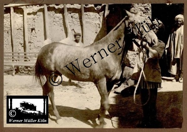 Foto Wilhelm Rieck , Afghanistan, Darulaman, Darul-Aman, Berlin, 1922, Amanullah, Rieck, Kabul, Tape-Taj-Beg, Maass, Harten, Standke, Plessen, Kandahar, Horten, harten, Bau, Palast, Bazar, Timur Schah, Partschin, Parschin, Teheran, Persien, Iran, aden, Vesuv, Neapel, Bombay, Maass, Bagman, Grobba, Gerber, Burg, wandgemälde, Königszimmer, Elefantenrennen, Bünte, Fensterblick, Winter, Reiterverein, Grantham, Suraija, Turmzimmer, Suez, Lyzeum, Schlüterstr, Berlin, Sancoussi, Potsdam, Schlossdächer, Schlossdach, Schachpartner, Kupfterdächer, Kupfterdach, Königlich Afghanischen Gesandtschaft, Berlin-Moabit, Alim Khan, Emir von Buchara, Lalander, Thaj Mahal, Agra, Parron, Baron Plessen, Mehl-Bazar, Mehlhändler, Obsthändler, Zuckerbäcker, Silberschmiede, Habibullah, Bank Ottoman, Pulverfabrik, Uran-Wiederaufbereitungsanlagen, F13, Gallipoli, 