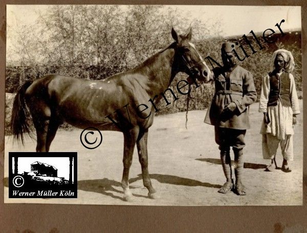 Foto Wilhelm Rieck , Afghanistan, Darulaman, Darul-Aman, Berlin, 1922, Amanullah, Rieck, Kabul, Tape-Taj-Beg, Maass, Harten, Standke, Plessen, Kandahar, Horten, harten, Bau, Palast, Bazar, Timur Schah, Partschin, Parschin, Teheran, Persien, Iran, aden, Vesuv, Neapel, Bombay, Maass, Bagman, Grobba, Gerber, Burg, wandgemälde, Königszimmer, Elefantenrennen, Bünte, Fensterblick, Winter, Reiterverein, Grantham, Suraija, Turmzimmer, Suez, Lyzeum, Schlüterstr, Berlin, Sancoussi, Potsdam, Schlossdächer, Schlossdach, Schachpartner, Kupfterdächer, Kupfterdach, Königlich Afghanischen Gesandtschaft, Berlin-Moabit, Alim Khan, Emir von Buchara, Lalander, Thaj Mahal, Agra, Parron, Baron Plessen, Mehl-Bazar, Mehlhändler, Obsthändler, Zuckerbäcker, Silberschmiede, Habibullah, Bank Ottoman, Pulverfabrik, Uran-Wiederaufbereitungsanlagen, F13, Gallipoli, 