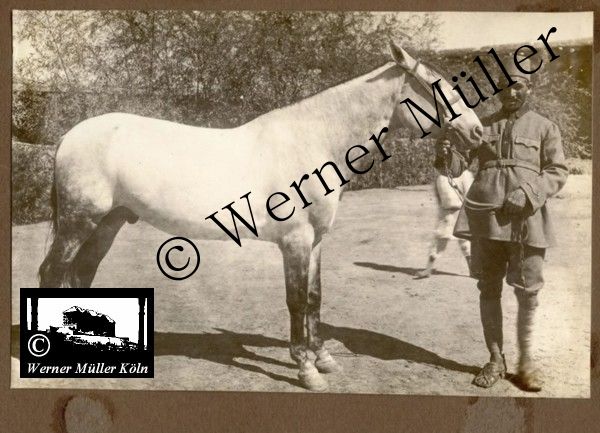 Foto Wilhelm Rieck , Afghanistan, Darulaman, Darul-Aman, Berlin, 1922, Amanullah, Rieck, Kabul, Tape-Taj-Beg, Maass, Harten, Standke, Plessen, Kandahar, Horten, harten, Bau, Palast, Bazar, Timur Schah, Partschin, Parschin, Teheran, Persien, Iran, aden, Vesuv, Neapel, Bombay, Maass, Bagman, Grobba, Gerber, Burg, wandgemälde, Königszimmer, Elefantenrennen, Bünte, Fensterblick, Winter, Reiterverein, Grantham, Suraija, Turmzimmer, Suez, Lyzeum, Schlüterstr, Berlin, Sancoussi, Potsdam, Schlossdächer, Schlossdach, Schachpartner, Kupfterdächer, Kupfterdach, Königlich Afghanischen Gesandtschaft, Berlin-Moabit, Alim Khan, Emir von Buchara, Lalander, Thaj Mahal, Agra, Parron, Baron Plessen, Mehl-Bazar, Mehlhändler, Obsthändler, Zuckerbäcker, Silberschmiede, Habibullah, Bank Ottoman, Pulverfabrik, Uran-Wiederaufbereitungsanlagen, F13, Gallipoli, 