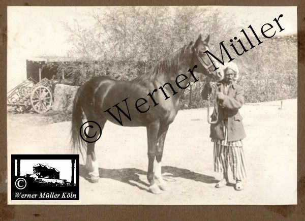 Foto Wilhelm Rieck , Afghanistan, Darulaman, Darul-Aman, Berlin, 1922, Amanullah, Rieck, Kabul, Tape-Taj-Beg, Maass, Harten, Standke, Plessen, Kandahar, Horten, harten, Bau, Palast, Bazar, Timur Schah, Partschin, Parschin, Teheran, Persien, Iran, aden, Vesuv, Neapel, Bombay, Maass, Bagman, Grobba, Gerber, Burg, wandgemälde, Königszimmer, Elefantenrennen, Bünte, Fensterblick, Winter, Reiterverein, Grantham, Suraija, Turmzimmer, Suez, Lyzeum, Schlüterstr, Berlin, Sancoussi, Potsdam, Schlossdächer, Schlossdach, Schachpartner, Kupfterdächer, Kupfterdach, Königlich Afghanischen Gesandtschaft, Berlin-Moabit, Alim Khan, Emir von Buchara, Lalander, Thaj Mahal, Agra, Parron, Baron Plessen, Mehl-Bazar, Mehlhändler, Obsthändler, Zuckerbäcker, Silberschmiede, Habibullah, Bank Ottoman, Pulverfabrik, Uran-Wiederaufbereitungsanlagen, F13, Gallipoli, 